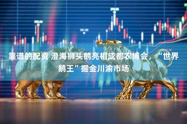 靠谱的配资 澄海狮头鹅亮相成都农博会，“世界鹅王”掘金川渝市场