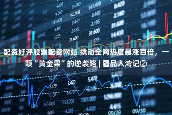 配资好评股票配资网站 撬动全网热度暴涨百倍，一颗“黄金果”的逆袭路 | 疆品入湾记②